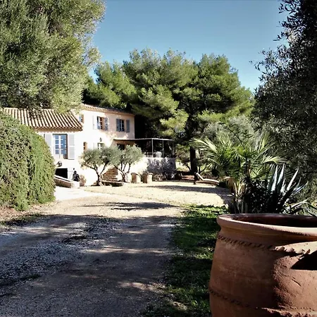 Des Oliviers * Sanary-sur-Mer