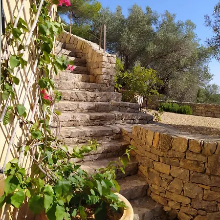 Des Oliviers * Sanary-sur-Mer