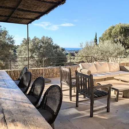 Des Oliviers Sanary-sur-Mer