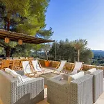 Des Oliviers Sanary-sur-Mer