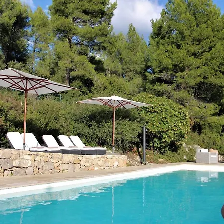 Des Oliviers * Sanary-sur-Mer