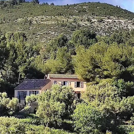 Des Oliviers Villa Sanary-sur-Mer
