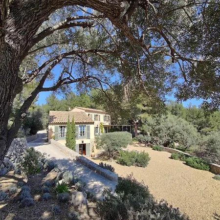 Des Oliviers Villa