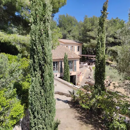 Des Oliviers Sanary-sur-Mer