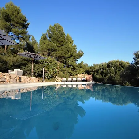 Des Oliviers * Sanary-sur-Mer