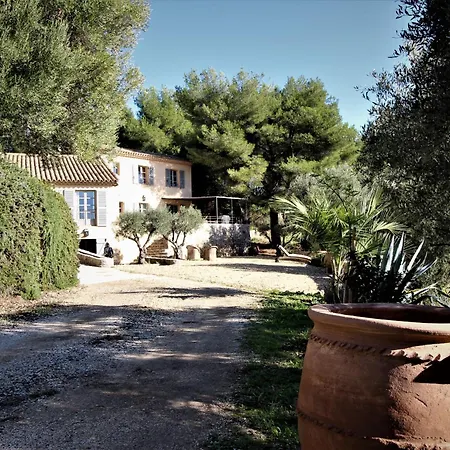 Villa Des Oliviers *