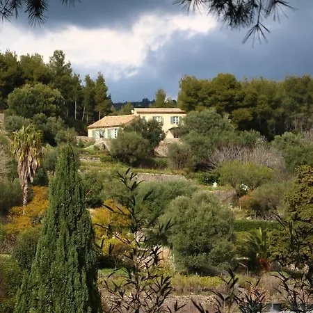 Des Oliviers Villa Sanary-sur-Mer