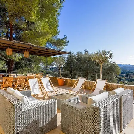 Des Oliviers Sanary-sur-Mer